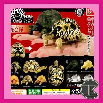 【愛蛋客】現貨 扭蛋 轉蛋 BANDAI 可動烏龜造型轉蛋02 烏龜 仿真烏龜 扭蛋 轉蛋 收藏 娛樂 全5種