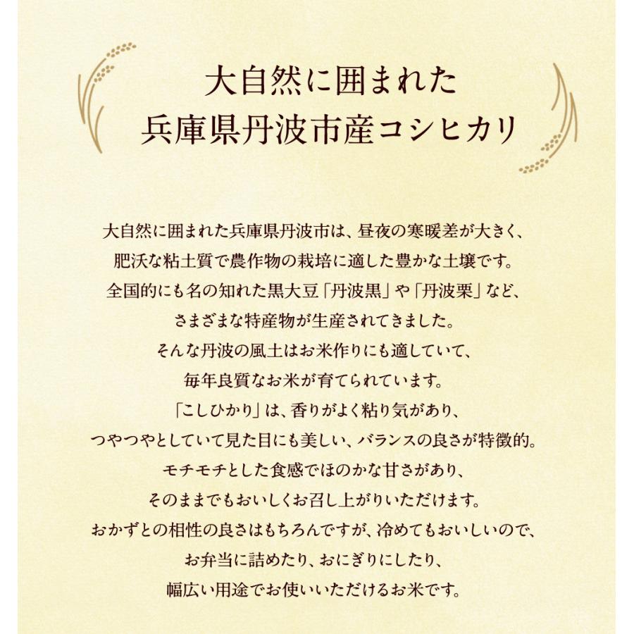 新米 特別栽培  丹波産（兵庫県）コシヒカリ10kg（5kg×2袋）  送料無料 令和5年産 特別栽培  精米 お米 （北海道・沖縄別途送料）（配達日・時間指定は不可）