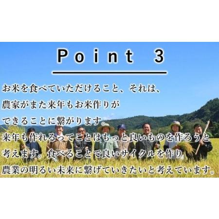 ふるさと納税  ひとめぼれ  白米  5kg 岩手県花巻市