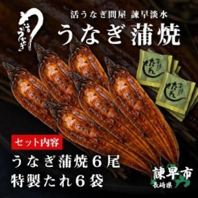 ふるさと納税 諫早市  うなぎ蒲焼6尾