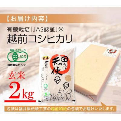 ふるさと納税 越前町  越前コシヒカリ 2kg 令和5年産 新米 福井県産