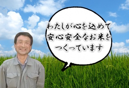 特別栽培米 コシヒカリ 10kg×10回 新潟県認証  1G03200