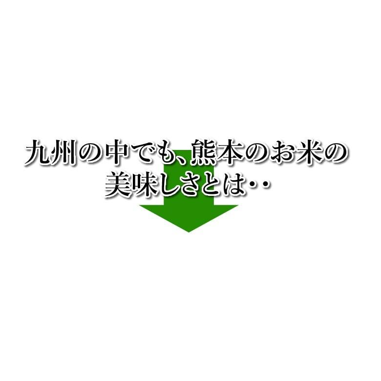 くまさんの輝き 無洗米 送料無料 計900g（300g×3袋） お試し 令和5年産 熊本県産 お米 白米 玄米 コシヒカリ ヒノヒカリ 森のくまさん