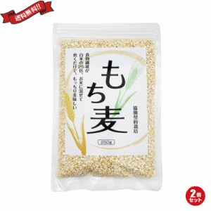 もち麦 250g ２個セット