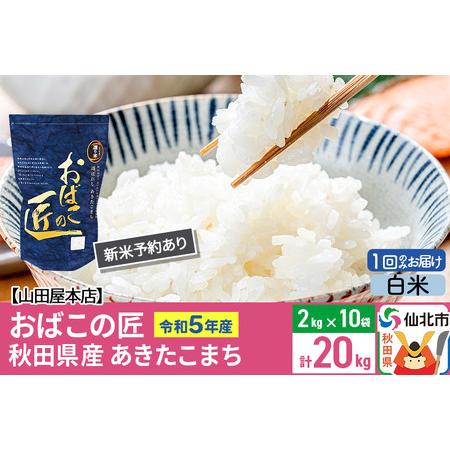 ふるさと納税 令和5年産 仙北市産 新米予約 おばこの匠 20kg（2kg×10袋）秋田県産あきたこまち 秋田こまち 秋田県仙北市