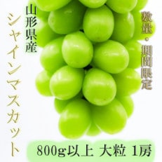 ※数量・期間限定※山形県産シャインマスカット　800g以上　大粒　1房