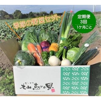 ふるさと納税 TD01：季節の野菜セット（3回お届け） 鳥取県日吉津村