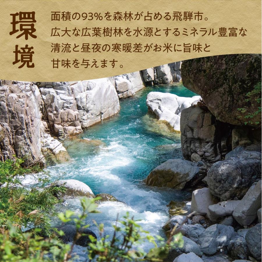 令和5年産 新米 金賞農家の飛騨産 若玄米 緑色玄米 青米 2.7kg 900g×3袋 青玄米 青の玄米 玄米 健康米 飛騨の米 米 みつわ農園 農家直送 送料無料