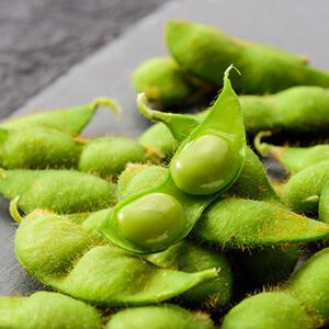 冷凍 特選 だだちゃ豆（300g×6袋）日本海産塩付 枝豆 茶豆 山形 鶴岡産 ギフト