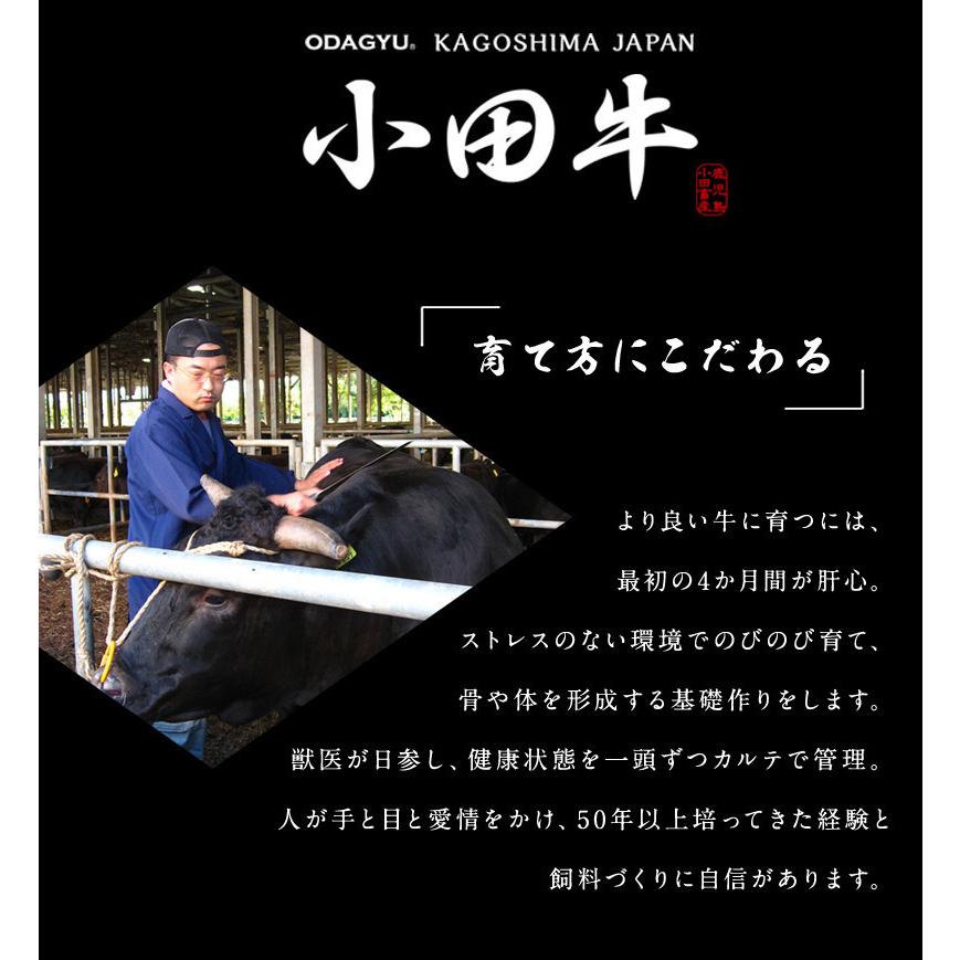 鹿児島黒毛和牛「小田牛」おうち焼肉セット550ｇ  黒毛和牛 小田牛 焼肉セット 焼肉  ギフト （北海道・沖縄別途送料）