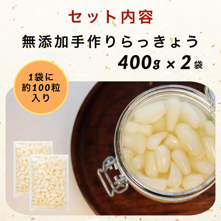 手作り らっきょう 国産 無添加 400g×2袋 下処理済み 塩らっきょう 福井 三里浜 簡単 お試し 洗い らっきょう 無化調 送料無料 