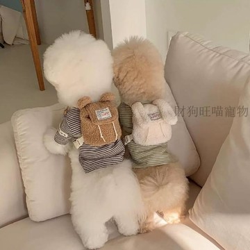 💕在臺出貨🔥ins狗狗貓咪外出寵物自揹包可愛書包零食包泰迪比熊博美可牽引