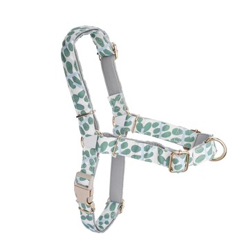 【美好毛日】Pawsholic爪迷 防暴衝胸背帶-薄荷晨露