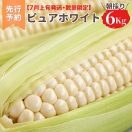  朝採り 白い とうもろこし ピュアホワイト 約 6kg トウモロコシ 期間限定 甘い 生食 [AX028ya]