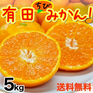 ご予約開始 みかん 訳あり 温州みかん 大国和歌山の 有田みかん（温州ミカン）5kg ちびみかんサイズ 送料無料！※北海道、沖縄を除く