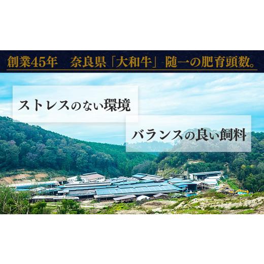 ふるさと納税 奈良県 五條市 奈良県産黒毛和牛 大和牛バラ 焼肉 500g