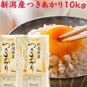 新米 10kg 令和５年 新潟産 つきあかり 白米10キロ（5kg×2袋）米 10キロ 安い 《白米 10kg 農家直送 産地直送 白米 精白米 分づき 新潟