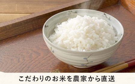 米 こしひかり 5kg × 12回 令和5年産 沖縄県への配送不可 2023年11月上旬頃から順次発送予定 米澤商店 コシヒカリ 白米 精米 長野県 飯綱町 [1351]