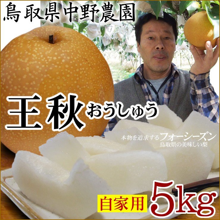 梨 なし 中野農園 王秋 おうしゅう 梨 5kgセット 自家用 訳あり 送料無料 常温 鳥取県産 農家指定商品