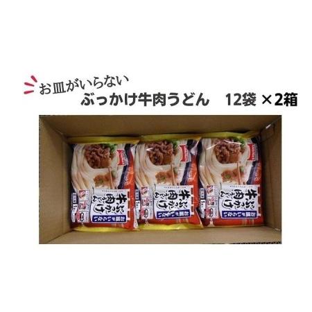 ふるさと納税 お皿がいらないぶっかけ牛肉うどん（294g）1食入×12袋×2箱 香川県綾川町