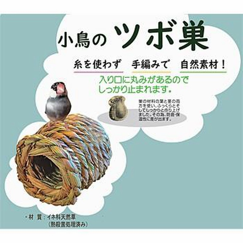 小鳥の巣の電tw12 小鳥の巣の電tw12