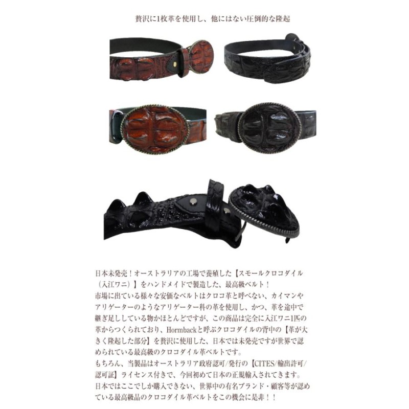 クロコダイル革ベルト オーストラリア産 最高級本クロコダイル1