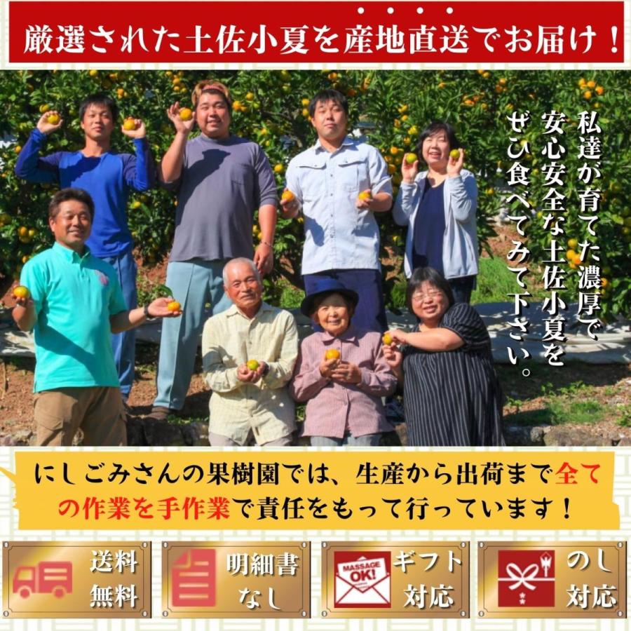 10月下旬発送 高知県産 減農薬 温州みかん 優品 5kg 石灰質の土壌で育てた蜜柑