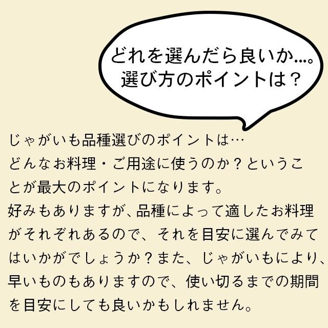 出荷開始中 新じゃがいも じゃがいも 送料無料 北海道旭川 平田農場のじゃがいも（とうや・男爵・キタアカリ・メークイン）Lサイズ 10kg   産地直送