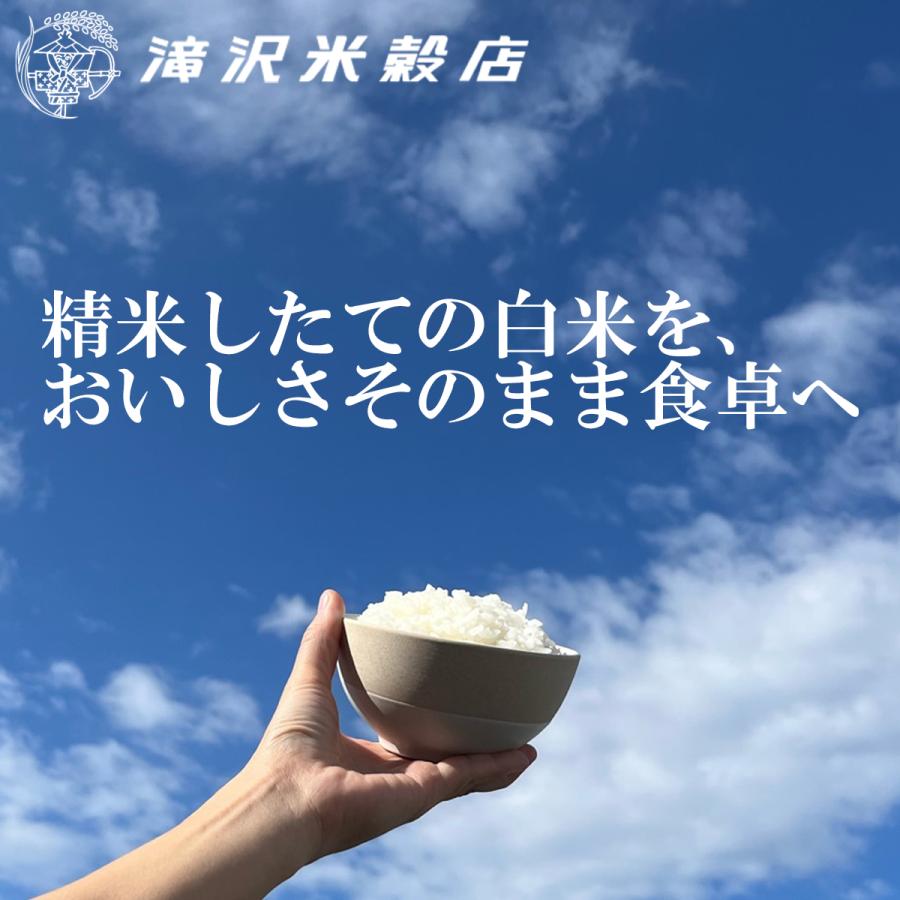 食味値上位厳選米 令和5年 新潟県 新潟米 佐渡産コシヒカリ 白米10kg（5kg×2袋）「新潟三大銘柄」の一つ佐渡産コシヒカリ