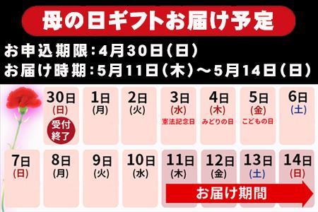 「お歳暮」マスターセレクトC 4種のウインナーと4種のハムセット 加工品 ギフト「2023年 令和5年」