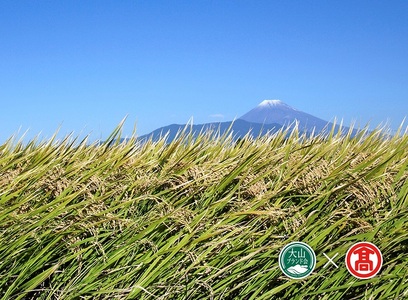 鳥取県産米4種食べ比べセット 6kg×4ヶ月 計24キロ 五ツ星お米マイスター監修（大山ブランド会）コメ 精米 五つ星 50-AN7 0945