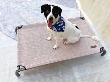 新品上市L小王子的飛行床-冰晶灰床架-挪威粉床套- 長110X寬80X高