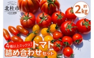 AGRIMIND　明野菜園トマト詰め合わせセット