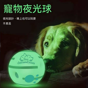 🚢夯爆了💣真真的寵物夜光球狗狗球耐咬解悶夜間發光球狗滾動發聲