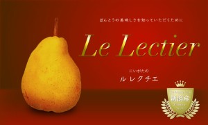 [予約2023年11月1日～初荷分より順次発送] 洋梨 ルレクチェ 約4kg 8玉-12玉 産地厳選 洋梨 冬ギフト お歳暮 御歳暮