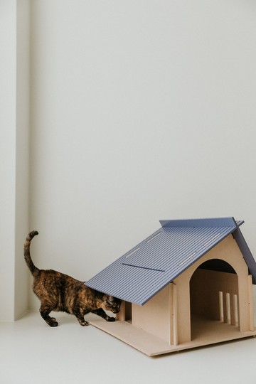 dc hoom 狗貓日式好宅 原木/木屋/日式/簡約