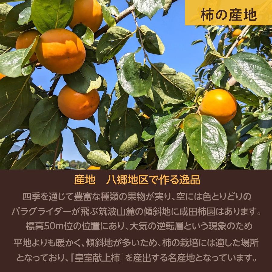 柿 甘柿  やさとの柿 富有柿・次郎柿等  3.5kg L 16個 茨城県石岡市 《11 下旬〜12 上旬より出荷》