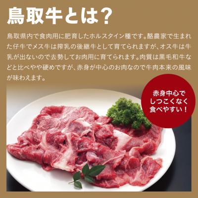 ふるさと納税 鳥取市 鳥取牛肩ロース焼肉用 400g