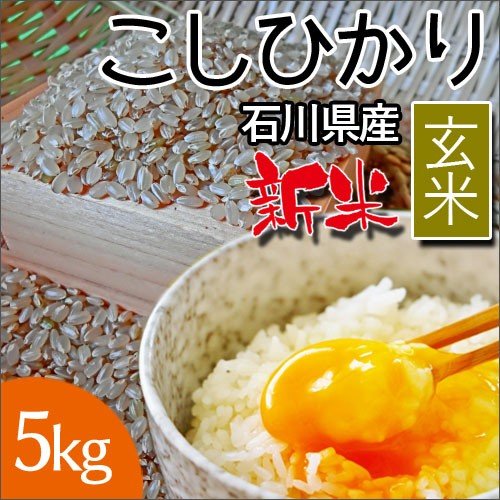 安田商事 令和5年度産　石川県産　コシヒカリ精米 5kg