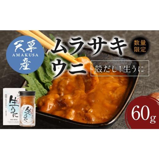 ふるさと納税 熊本県 上天草市 殻だし！生うに 60g『熊本県天草産ムラサキウニ』無塩 無添加 ウニ 雲丹