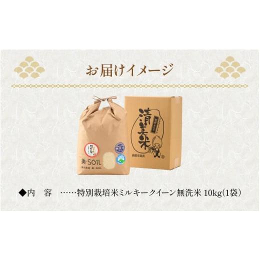 ふるさと納税 福井県 あわら市 令和5年産新米 ミルキークイーン 10kg 無洗米 特別栽培米 低農薬 《食味値85点以上！こだわり極上無洗米》 ／ 福井県 あわら 北…