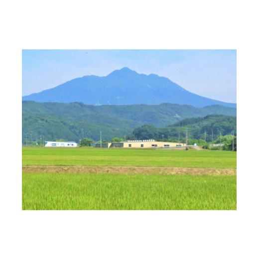 ふるさと納税 青森県 鰺ヶ沢町 令和5年産 まっしぐら 玄米 5kg（5kg×1袋）※令和5年10月上旬より順次お届け 青森県鰺ヶ沢町産　山下農園