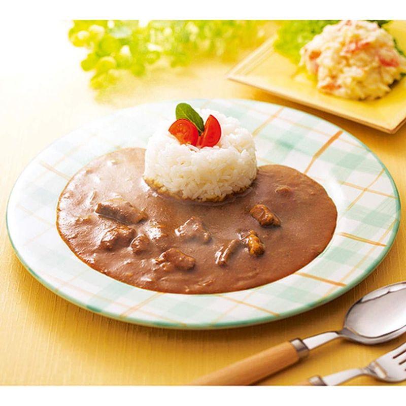 トヨタ 博物館 カレー BEEF CURRY (ビーフカレー) (甘口) 200g 6個セット