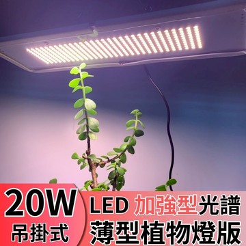 【君沛】吊掛式薄型植物燈板 20W 加強型光譜 植物控養 LED植物燈 塊根 龍舌蘭 鹿角蕨 防徒長 補光