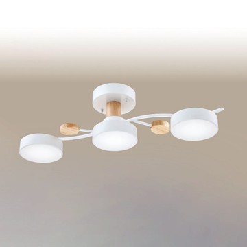 42W三色變光半吸頂燈 B250-53-12-2232