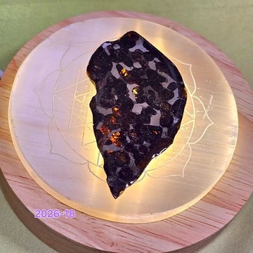 肯亞橄欖隕鐵Sericho Meteorite收藏級覆膜把玩切片2026-18 ~極佳的護身符