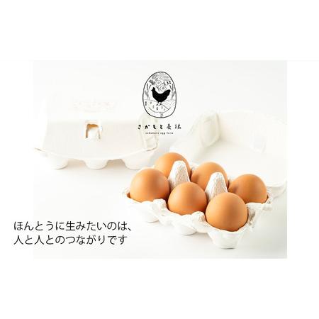 ふるさと納税 白鳳卵：業務用加熱たまご 5kg 奈良県五條市