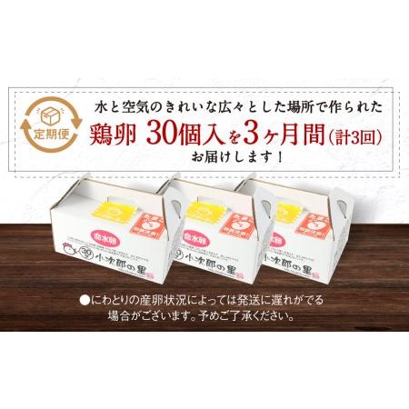 ふるさと納税 鶏卵 30ヶ入×3回 合計90個 たまご  福岡県産 福岡県嘉麻市