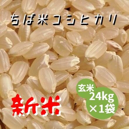 新米 米 お米 玄米 24kg ×１袋 ちば米 コシヒカリ 令和5年産 本州四国 送料無料 小分け不可 綺麗仕上 異物除去 石抜き済 25kg ⇒24kgへ変更