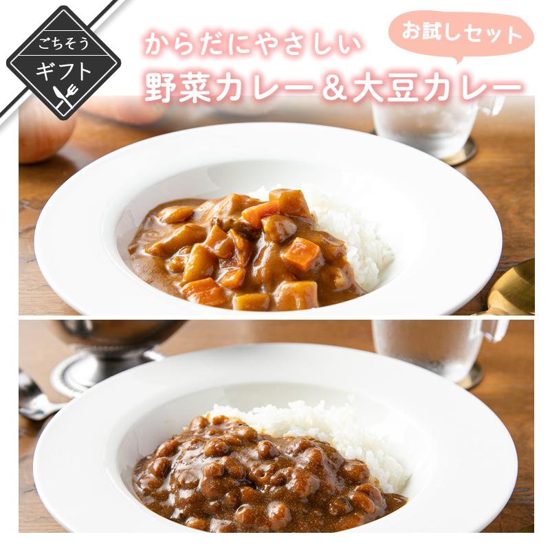 からだにやさしい野菜カレー＆大豆カレーギフトセット　高級 酒の つまみ 食べ物 手土産 常温 夏  会社 職場 小分け